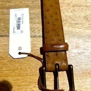 Tecovas ostrich belt